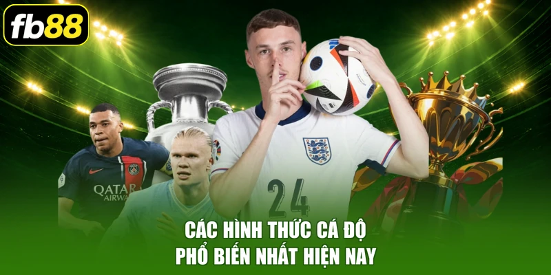 Các hình thức cá độ phổ biến nhất hiện nay