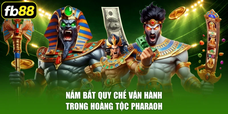 Nắm bắt quy chế vận hành trong hoàng tộc Pharaoh